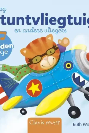 Aanbieding DAG STUNTVLIEGTUIG EN ANDERE VLIEGERS