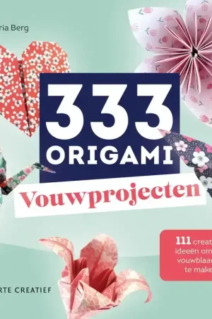 Alleen Vandaag FORTE 333 ORIGAMI VOUWPROJECTEN
