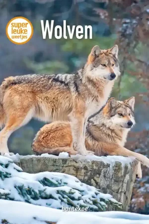 WOLVEN Tijdelijk Beschikbaar