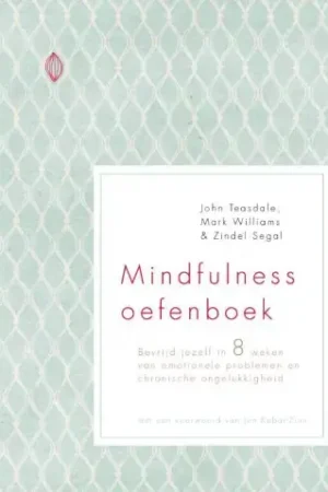 Alleen Vandaag Mindfulness oefenboek