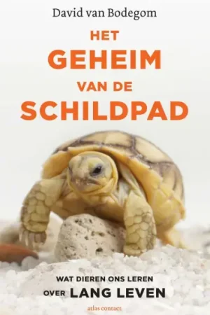 Het geheim van de schildpad (E-book) Nu Kopen