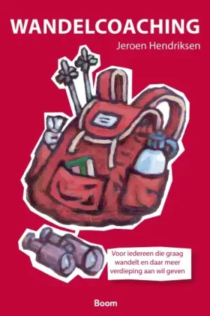 Direct Beschikbaar Wandelcoaching (E-book)